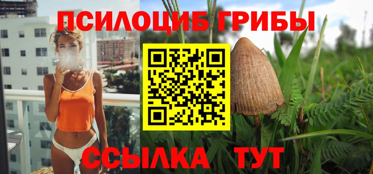 Галлюциногенные грибы Magic Shrooms  Галлюциногенные грибы Cubensis  Кострома  Вход с VPN 